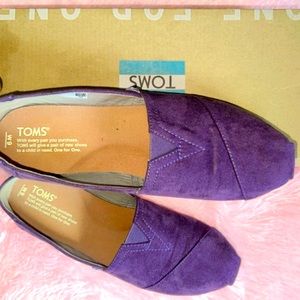 New with box purple Tom’s shoes size 9